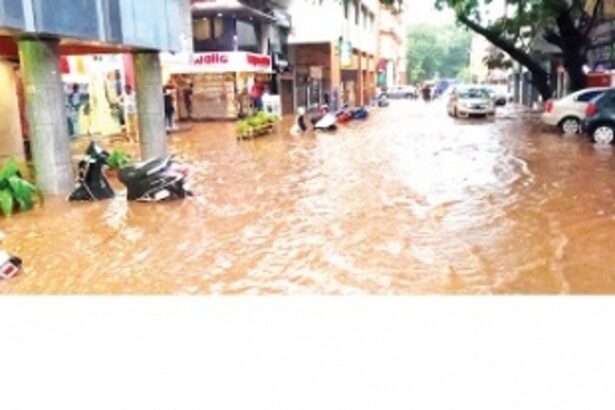 Should we totally scrap the Smart City project and go back to the drawing board?