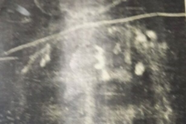 Shroud of Turin