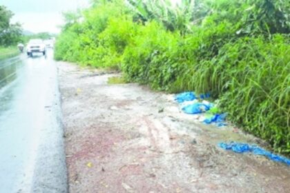 Shrubbery to be cleared to nab culprits dumping on Arlem Bypass