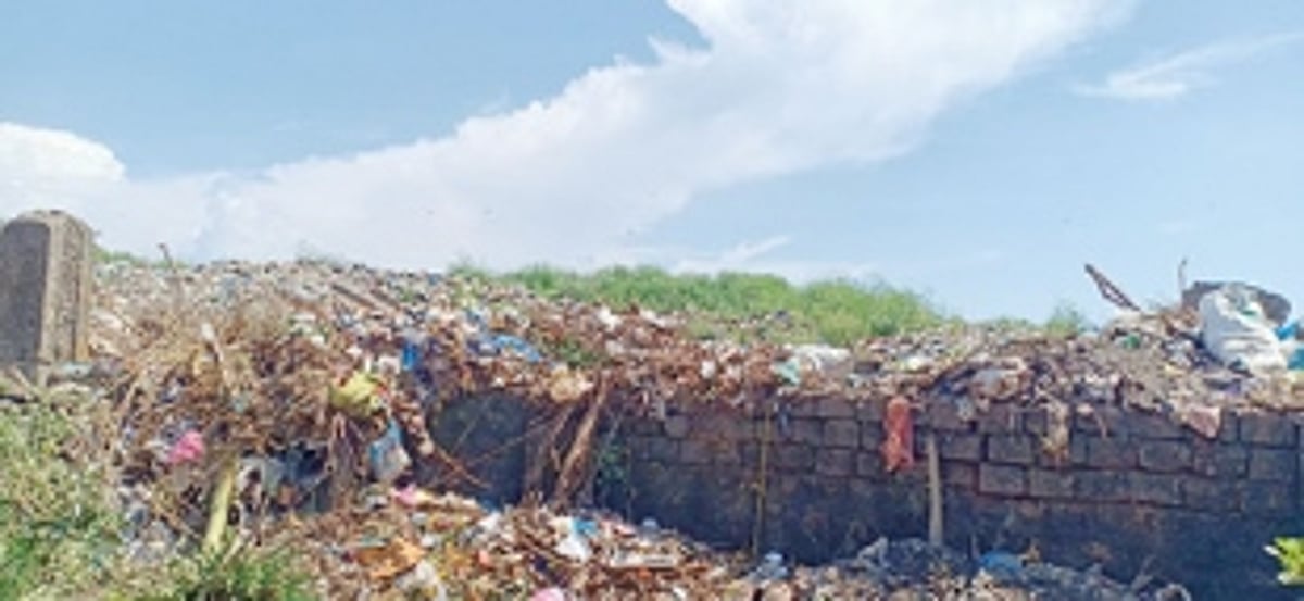 Shrubs cover Sada garbage dump