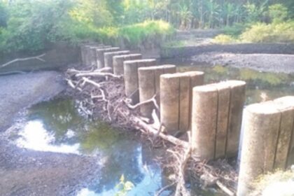 Silt at bandharas threatens floods in Sattari