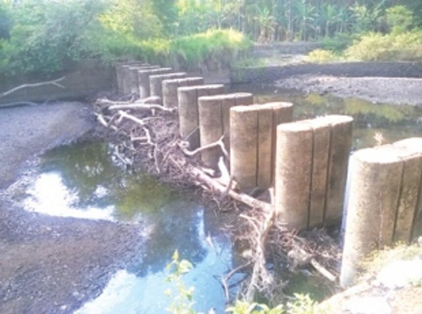 Silt at bandharas threatens floods in Sattari