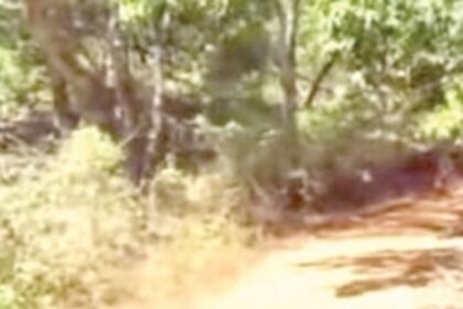 Since Liberation, Thaalni is deprived of basic facilities