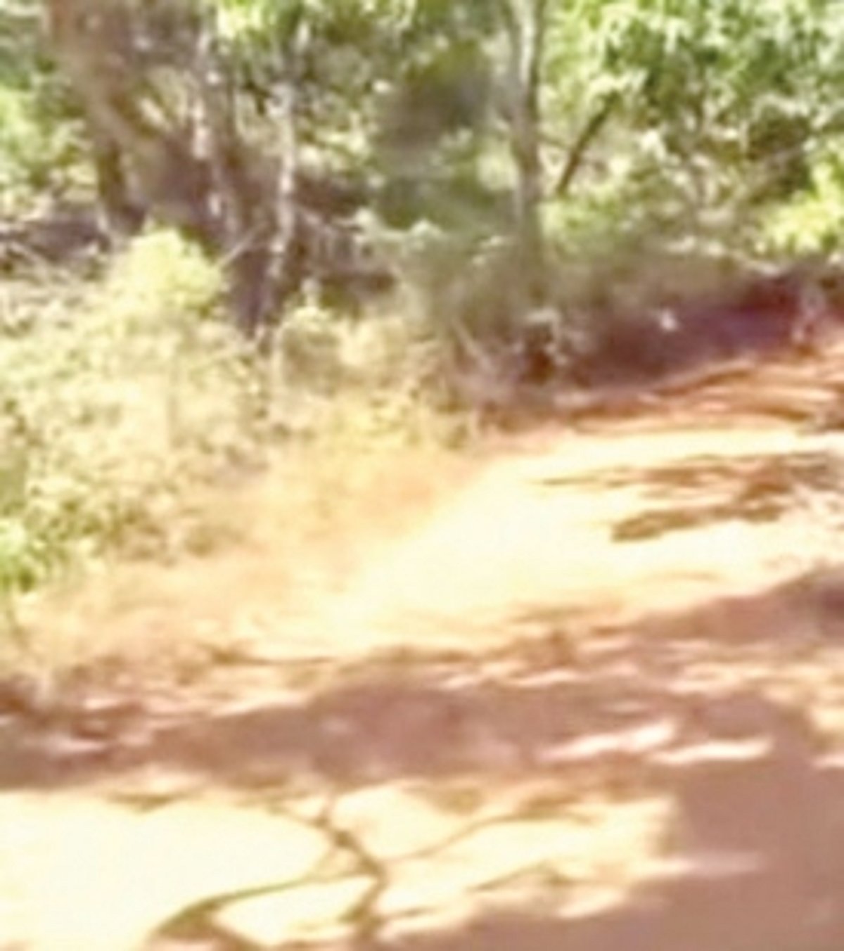 Since Liberation, Thaalni is deprived of basic facilities