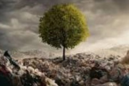 Siolim-Marna Gram Sabha Blames Panchayat for Environmental Degradation in Village