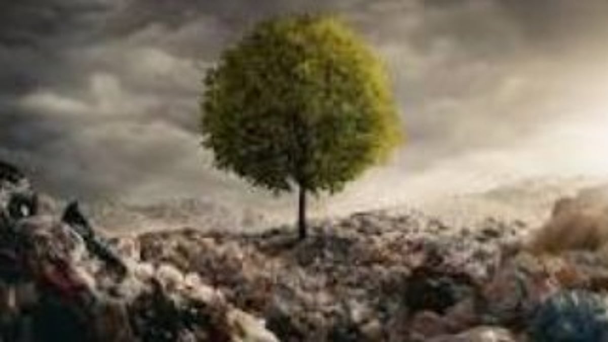 Siolim-Marna Gram Sabha Blames Panchayat for Environmental Degradation in Village
