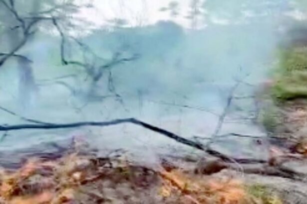 Siolim-Sodiem BMC comes down heavily on developer for burning of hillock