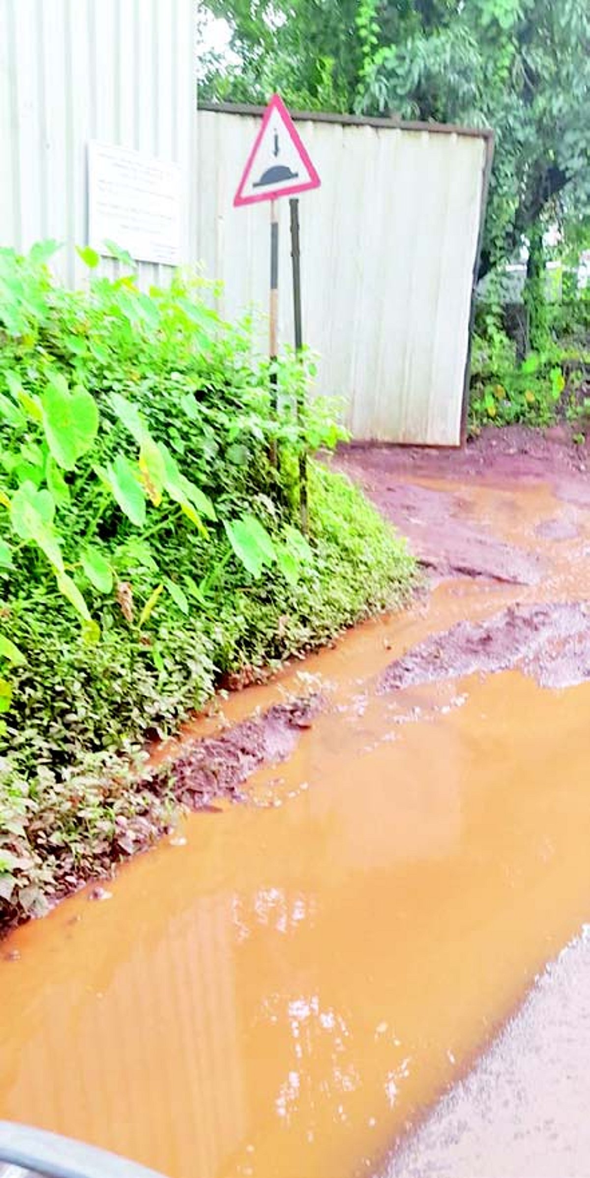 Siolim-Sodiem VP must stop this nuisance