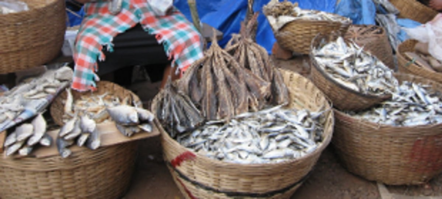 Siolim fish vendors urge panchayat  to close market