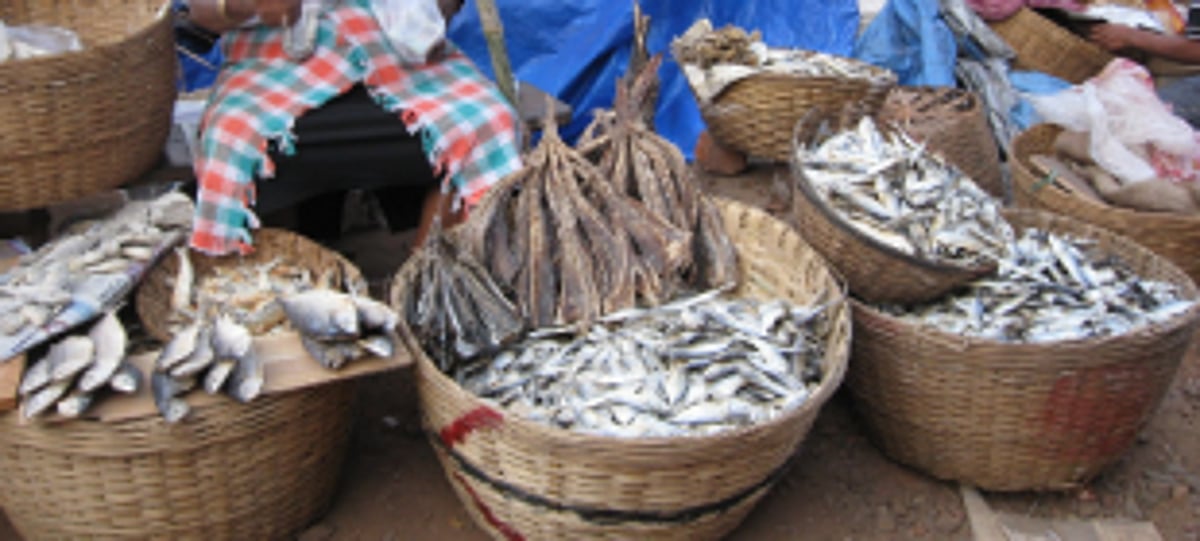 Siolim not to allow ‘outside’ fish vendors in market from today