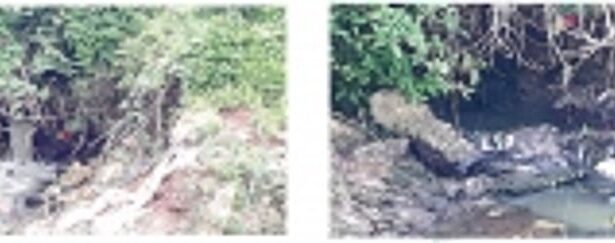 Sirvodem STP plugs raw sewage outlets