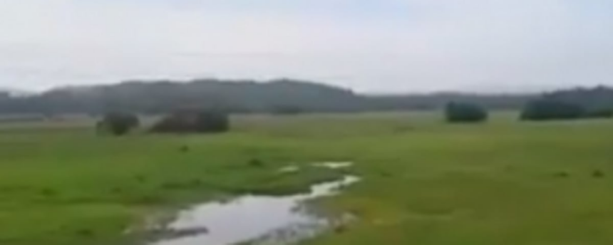 Six lakes are officially notified as wetlands