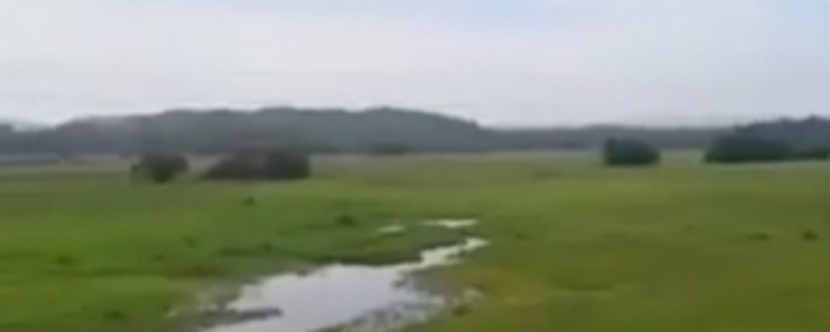 Six lakes are officially  notified as wetlands