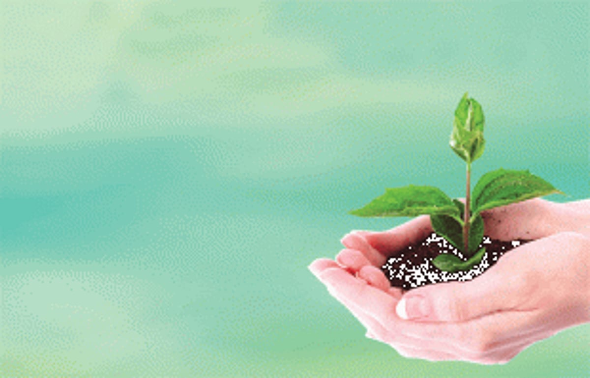 Sixth edition of Goa Environment Festival to commence today