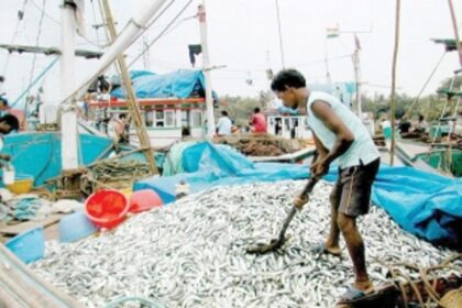 Slack tourism season, formalin issue hurt fish business in Goa