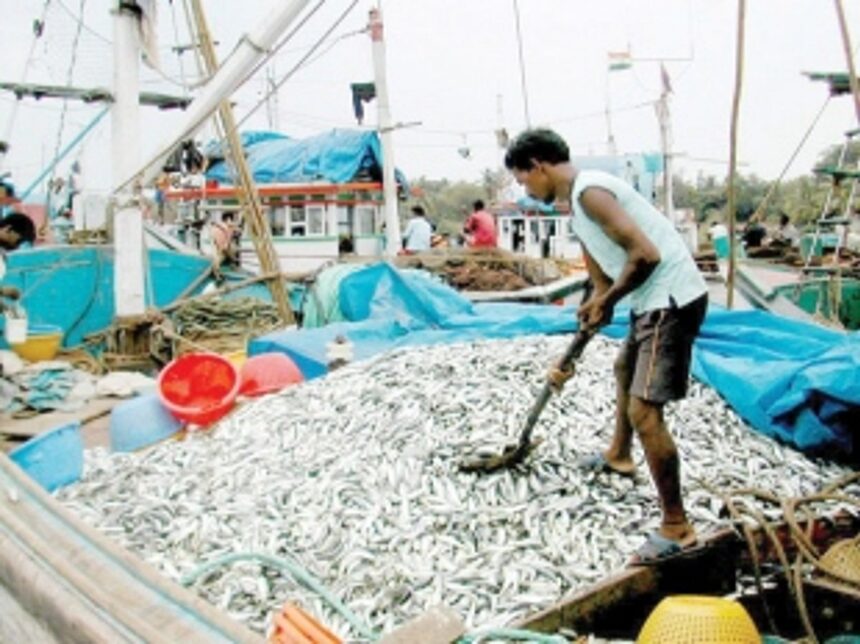 Slack tourism season, formalin issue hurt fish business in Goa 1 Slack tourism season, formalin issue hurt fish business in Goa