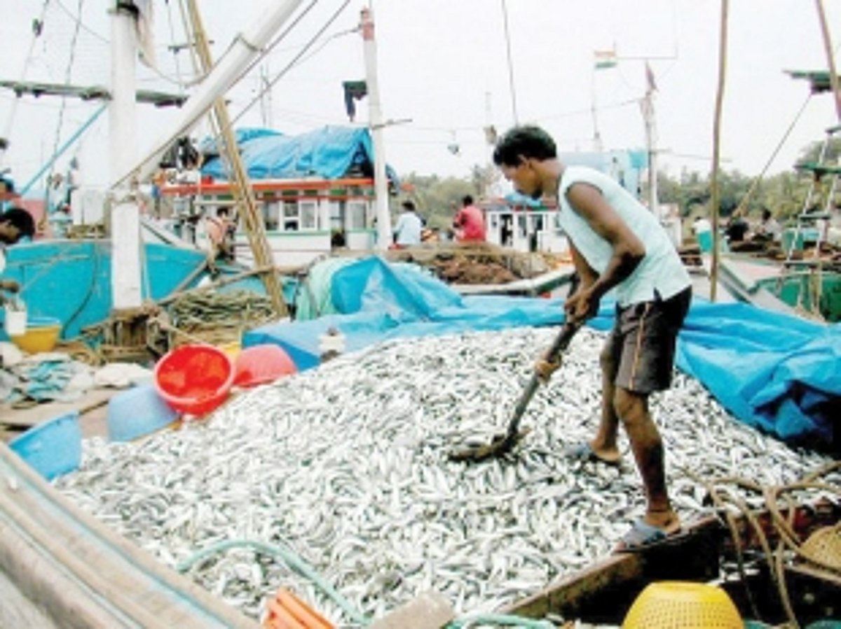 Slack tourism season, formalin issue hurt fish business in Goa