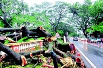 Slapdash ‘Smart’ way endangers the environment and life in urban spaces