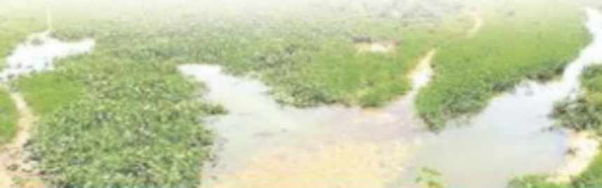 Slew of agro-projects planned for neglected farmlands in Chinchinim-Deussua village