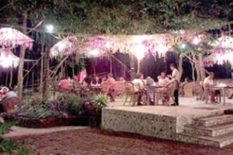 Small restaurants need ‘intensive care’: Open to even 50% functioning