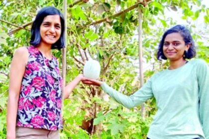 Small-scale farming, big impact: