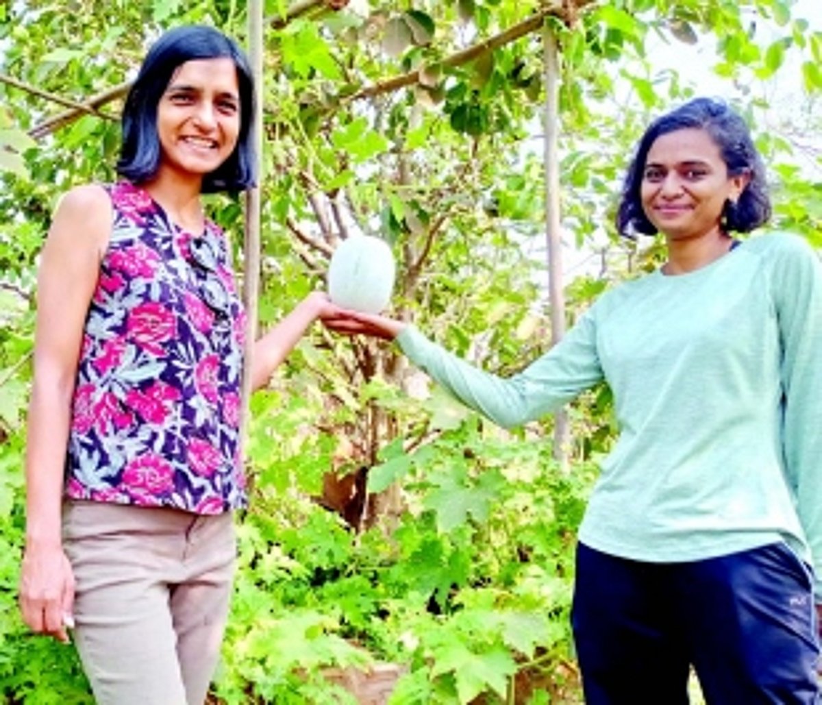 Small-scale farming, big impact: