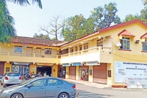 Small size,RICH IN REVENUE