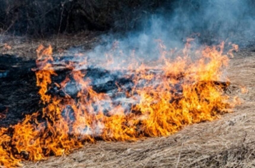 Smoke from dry grass fire sends employees running out 1 Smoke from dry grass fire sends employees running out