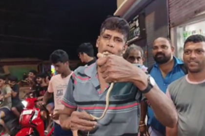 Snake Found Inside Activa Scooter in Siolim, Prompt Rescue Operation Ensues