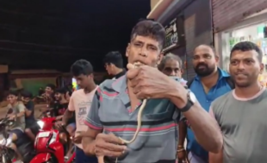 Snake Found Inside Activa Scooter in Siolim, Prompt Rescue Operation Ensues