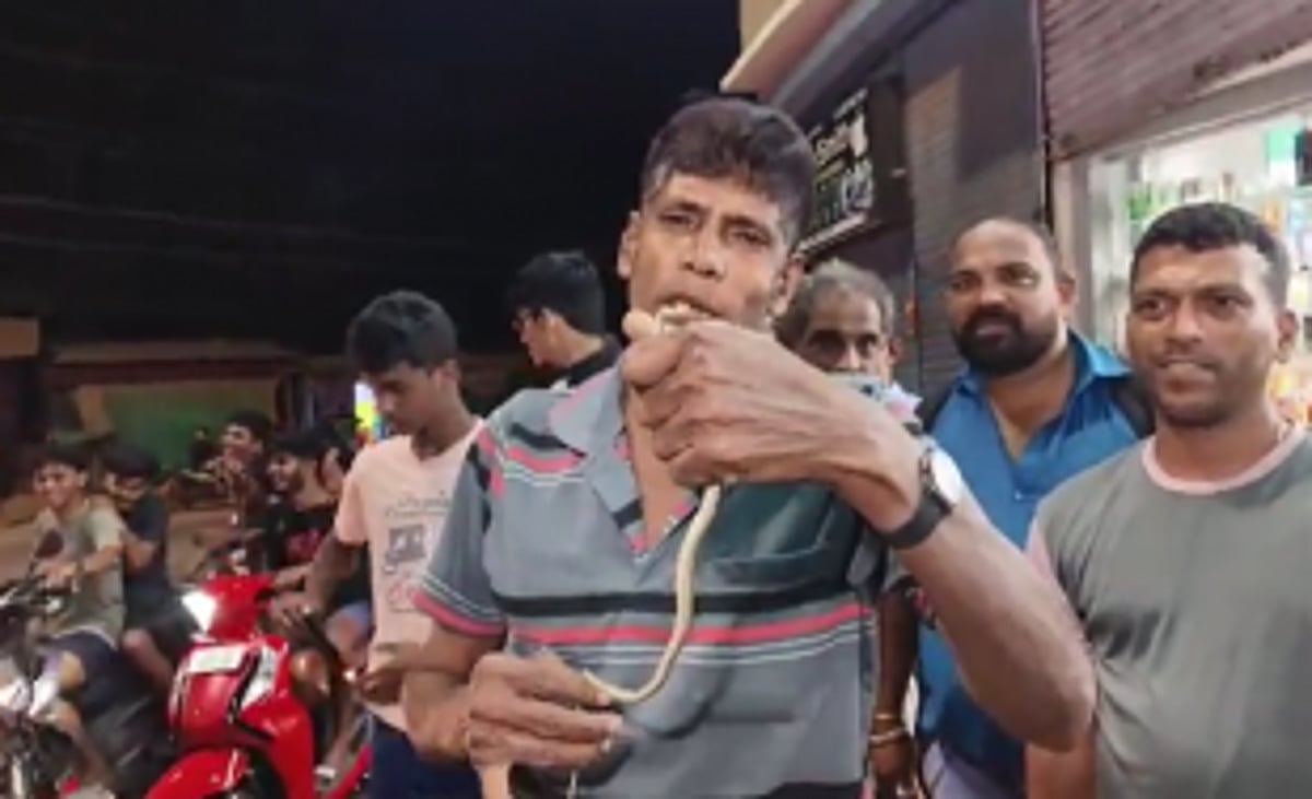 Snake Found Inside Activa Scooter in Siolim, Prompt Rescue Operation Ensues