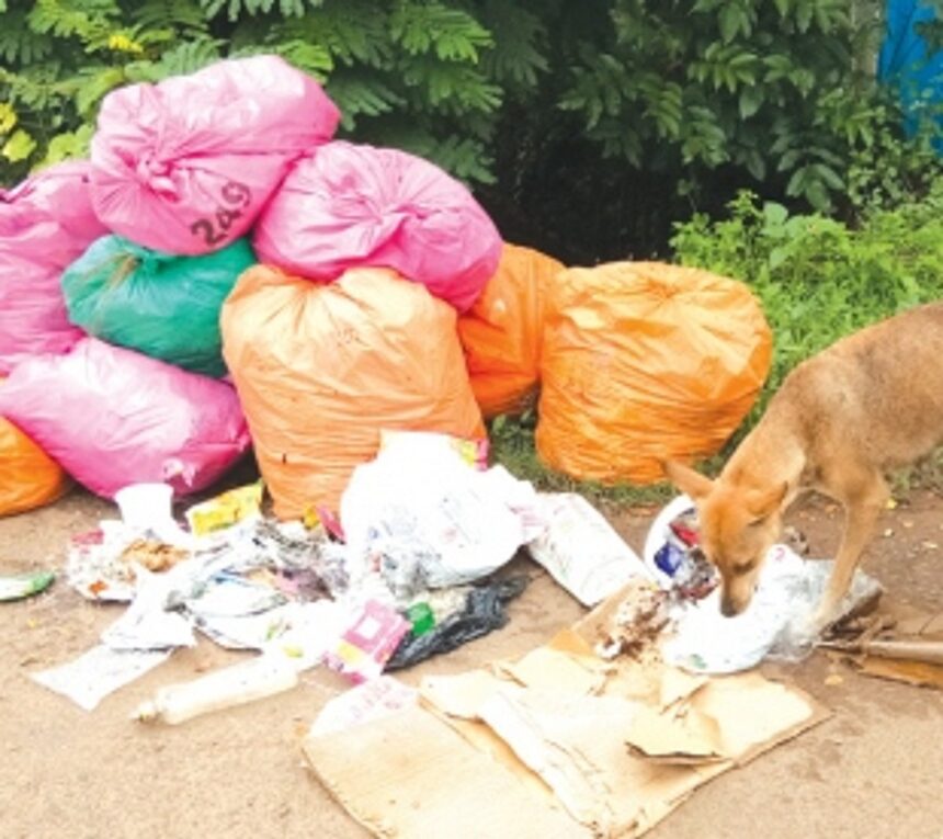 Some steps yes, but miles to go before the dawn of Swachh Panjim