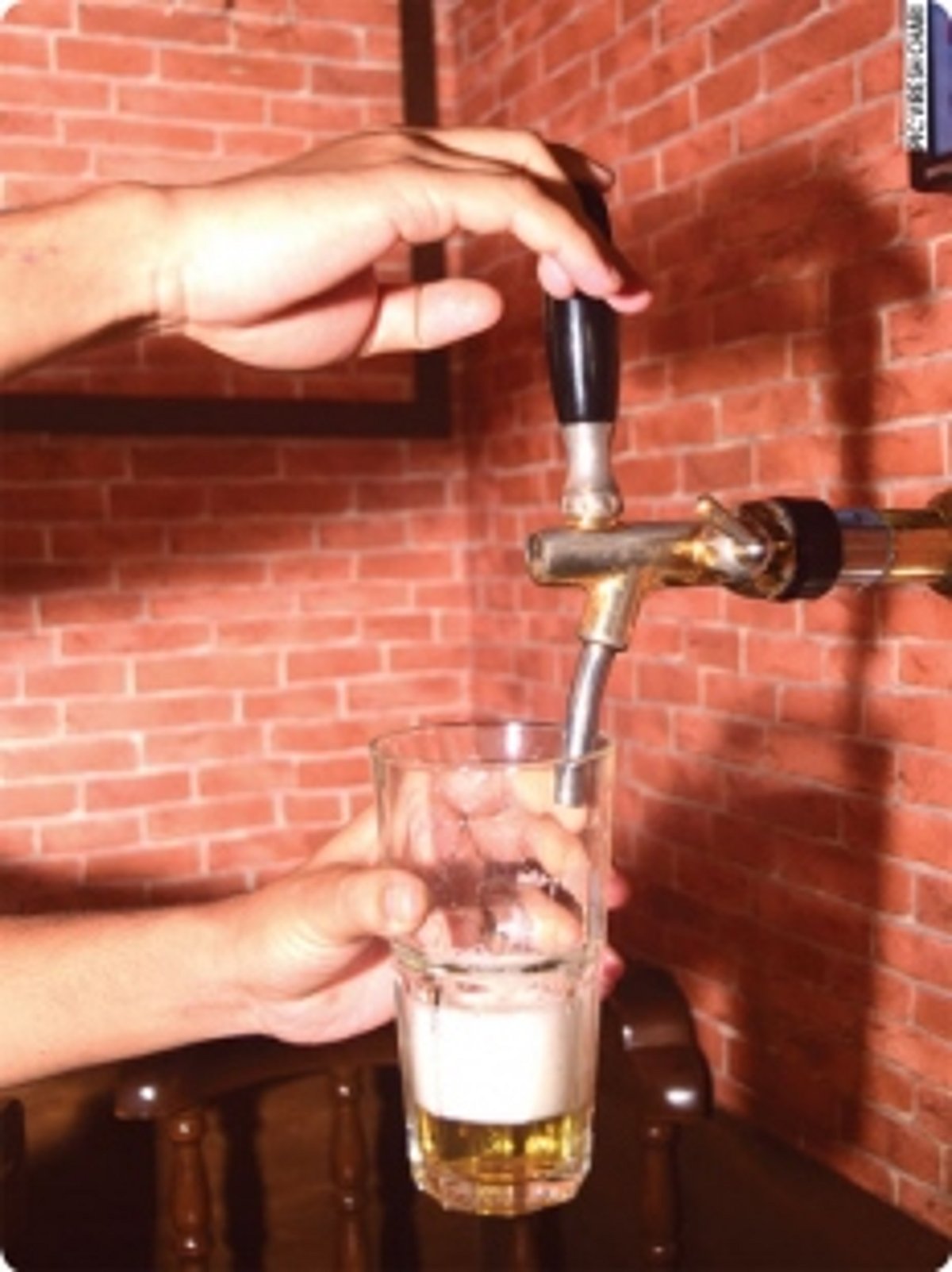 Something is ‘brewing’ in Goa. And it is fresh!