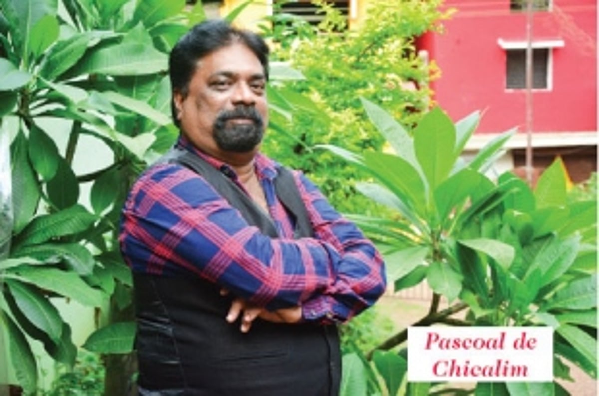 Son of Colvale & Chicalim’s pride