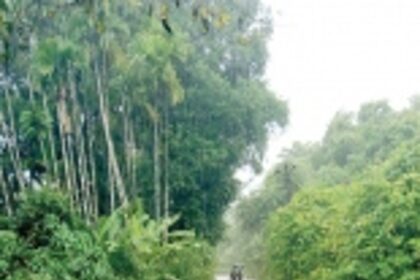 Sonal village road submerged