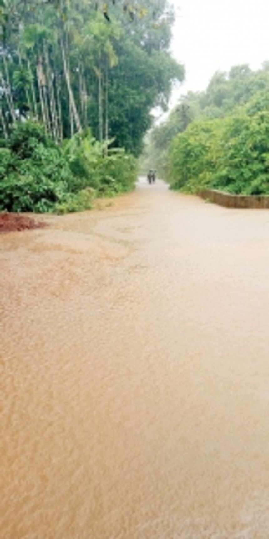 Sonal village road submerged 1 Sonal village road submerged
