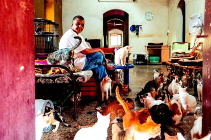 Sonia Smart’s Cat Sanctuary at Olaulim
gives forgotten felines the life they deserve