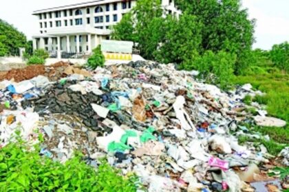 Sonsoddo in the making at Merces?