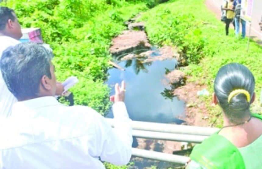 Sonsoddo plant is  a scam, alleges Damu