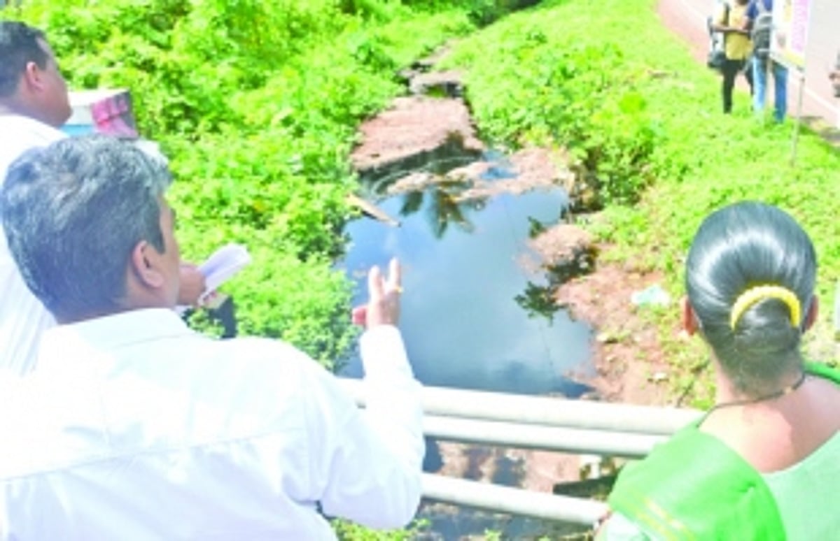 Sonsoddo plant is  a scam, alleges Damu