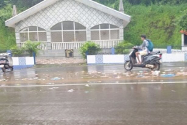 Sonsoddo waste reaches Amrutnagar