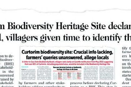 Soon, Biodiversity Heritage Site tag for Goa’s granary, Curtorim