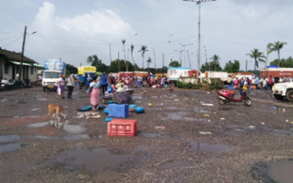 Sopo can be collected outside wholesale  fish market, says MMC councillor