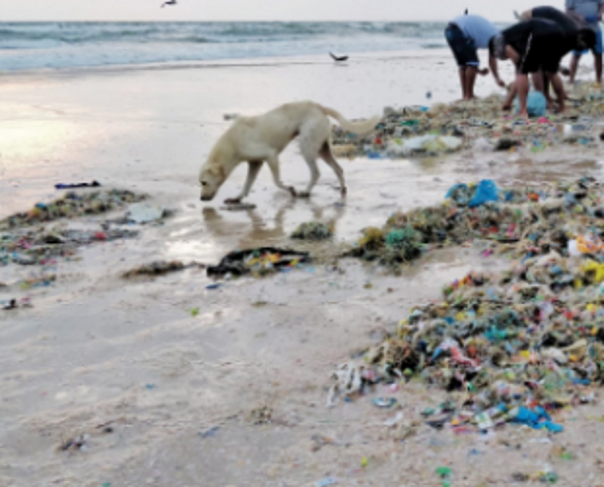 Sorry state of Sernabatim Beach