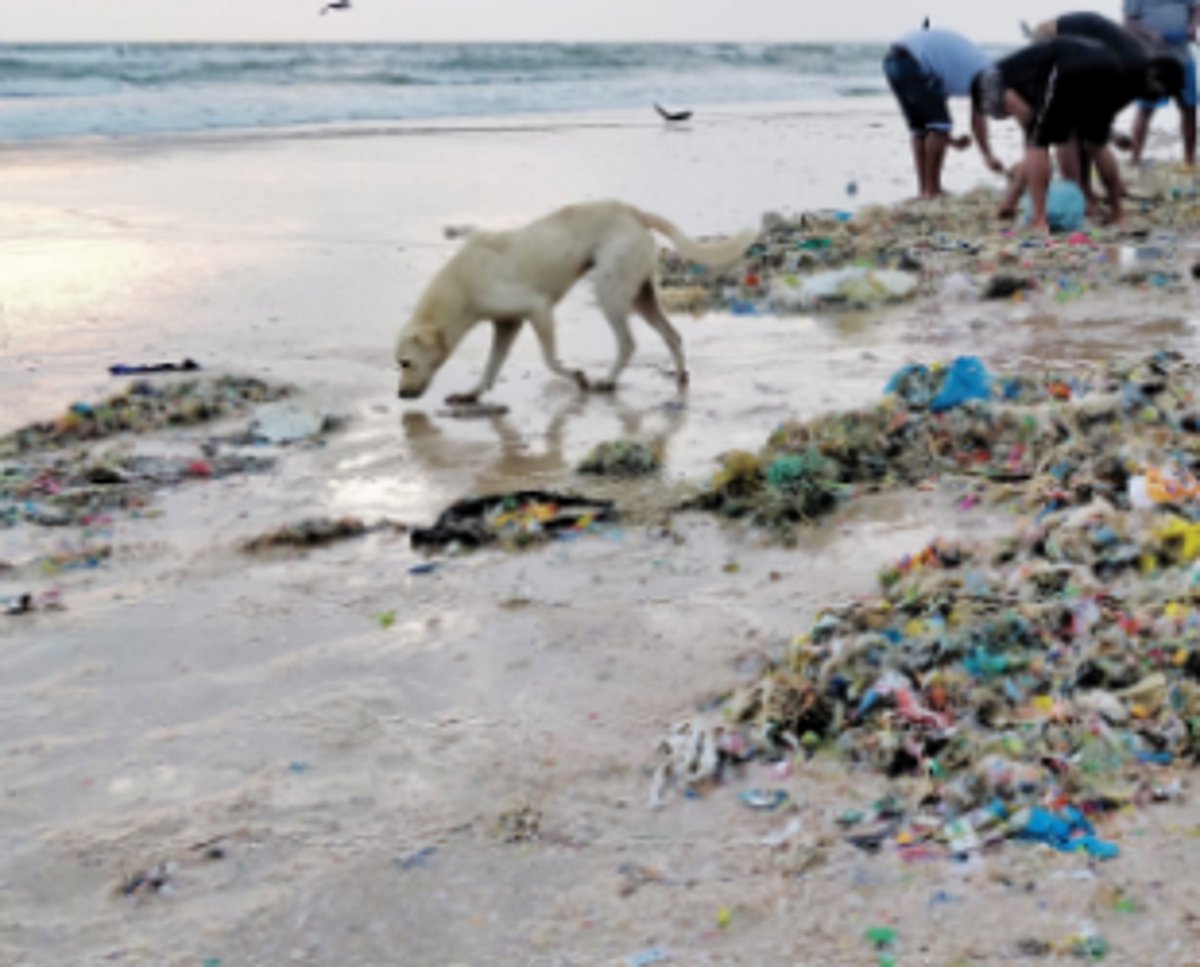 Sorry state of Sernabatim Beach