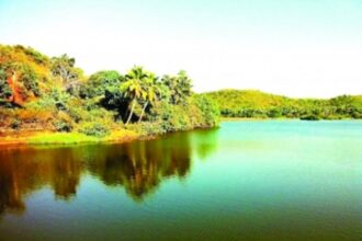 Source of the Sal is under ecological threat