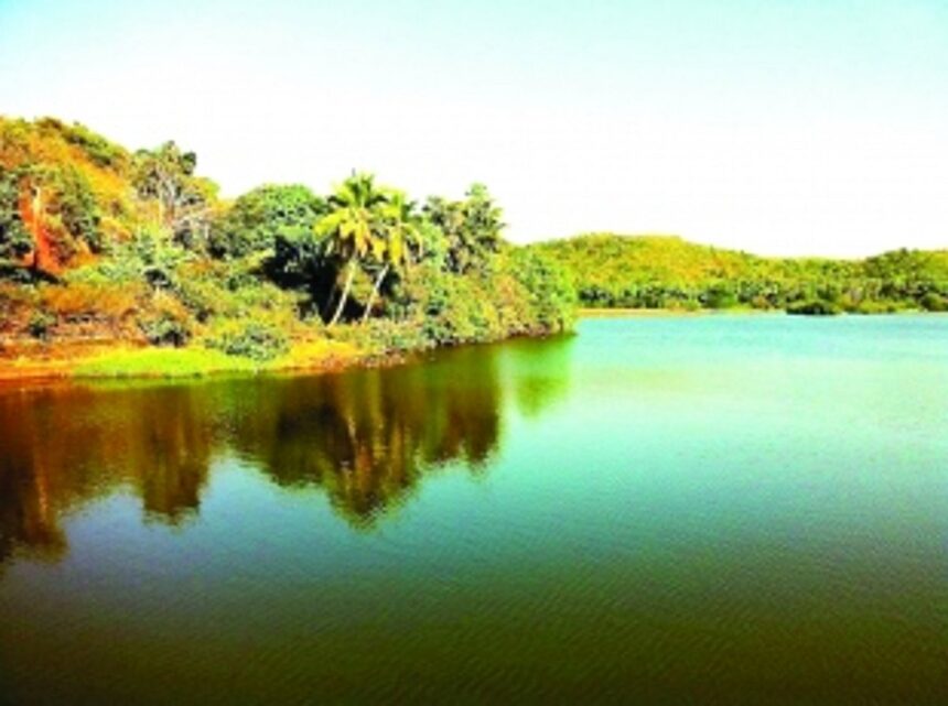 Source of the Sal is under ecological threat