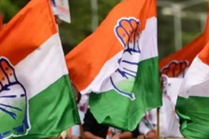 South Cong panel reconstituted