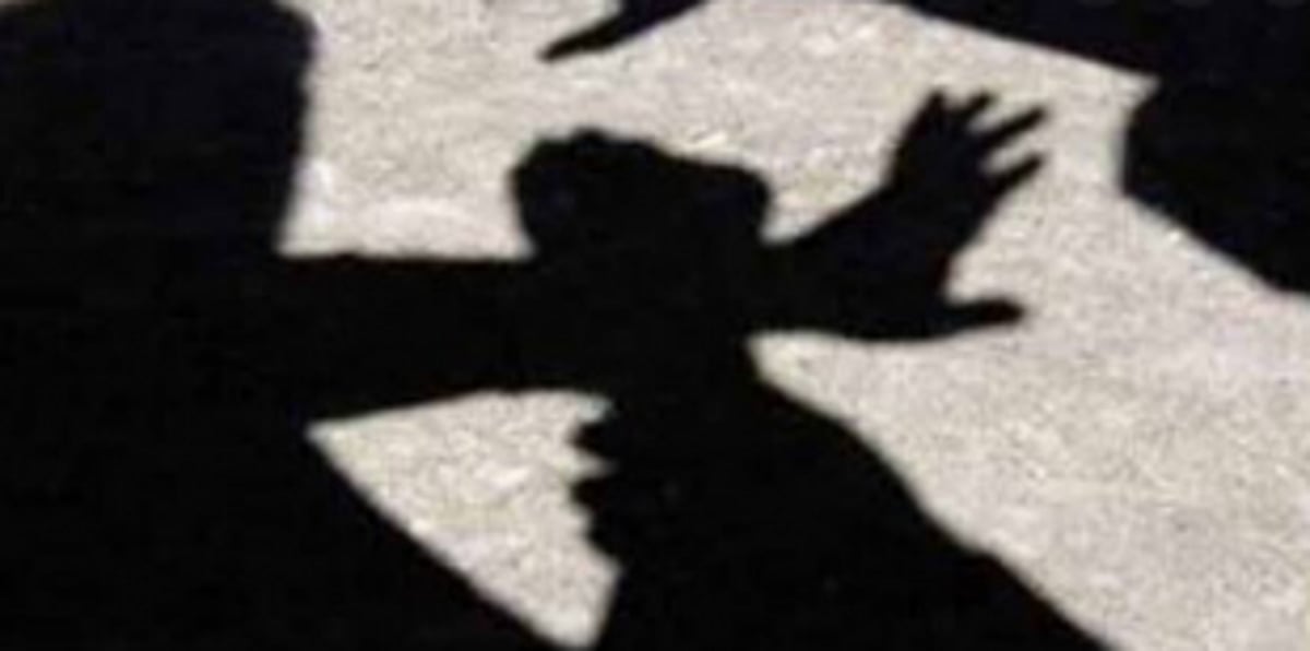 South Goa BJP chief seeks probe into RTI activist’s attack