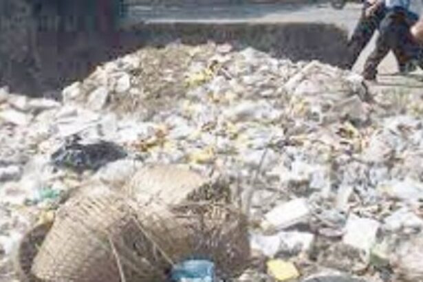 South Goa needs 250-tonne  garbage plant: minister